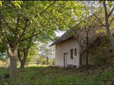 Eladó zártkert - Tagyon / 4. kép