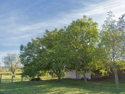 Eladó zártkert - Tagyon / 6. kép