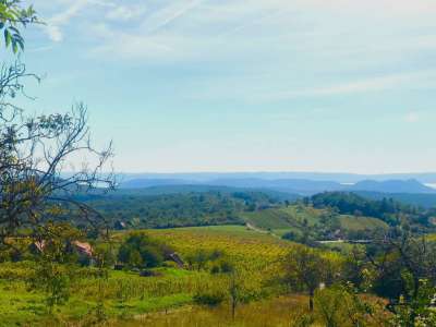 Eladó mezőgazdasági terület - Balatonszőlős / 5. kép