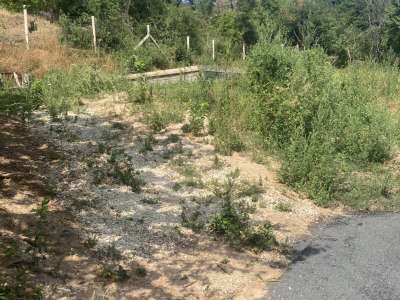 Eladó zártkert - Felsőörs / 5. kép