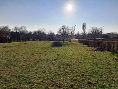 Eladó mezőgazdasági terület - Balatonfüred (Fürdőtelep) / 8. kép