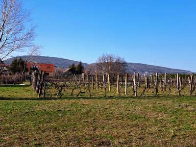 Eladó mezőgazdasági terület - Balatonfüred (Fürdőtelep) / 3. kép