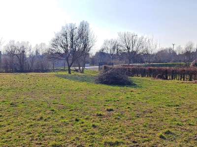 Eladó mezőgazdasági terület - Balatonfüred (Fürdőtelep) / 12. kép