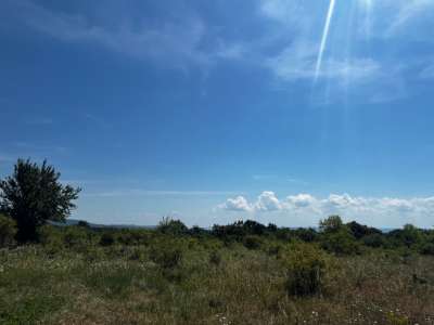 Eladó mezőgazdasági terület - Zánka / 6. kép