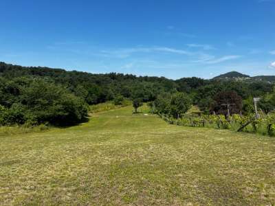 Eladó mezőgazdasági terület - Zánka / 1. kép