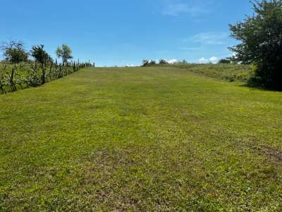 Eladó mezőgazdasági terület - Zánka / 2. kép