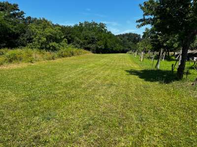 Eladó mezőgazdasági terület - Zánka / 3. kép