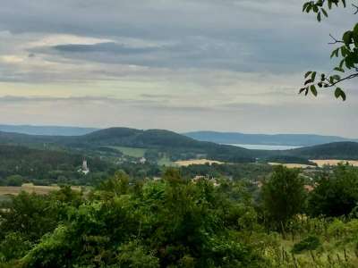 Eladó mezőgazdasági terület - Pécsely / 7. kép