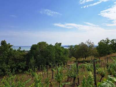 Eladó mezőgazdasági terület - Balatonfüred / 3. kép