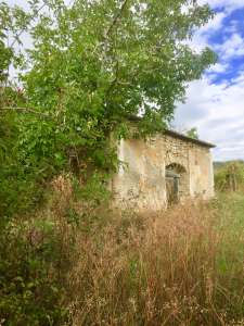 Eladó gazdasági épület - Balatonszőlős / 1. kép