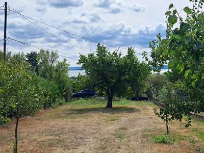 Eladó mezőgazdasági terület - Balatonfüred / 7. kép