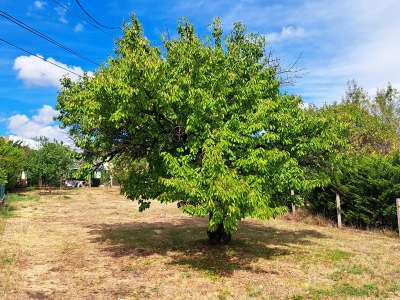 Eladó mezőgazdasági terület - Balatonfüred / 11. kép