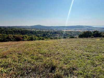 Eladó mezőgazdasági terület - Balatoncsicsó / 6. kép