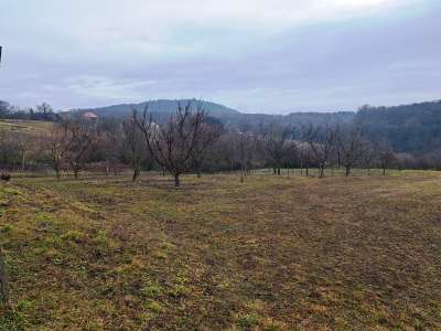 Eladó mezőgazdasági terület - Mencshely / 7. kép