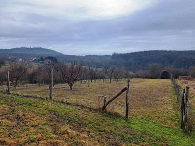 Eladó mezőgazdasági terület - Mencshely / 8. kép