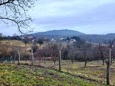 Eladó mezőgazdasági terület - Mencshely / 3. kép