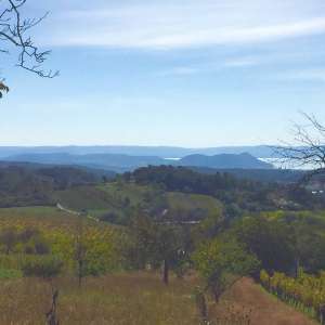 Eladó gazdasági épület - Balatonszőlős / 20. kép