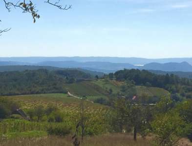 Eladó gazdasági épület - Balatonszőlős / 12. kép