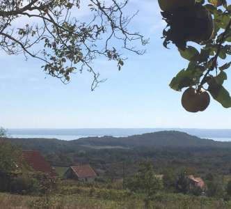 Eladó gazdasági épület - Balatonszőlős / 19. kép