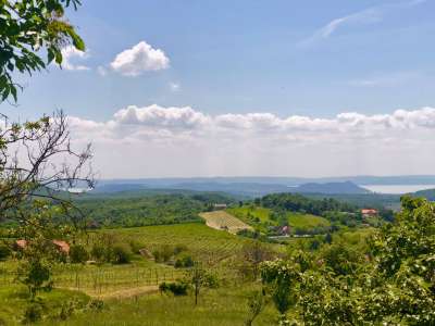 Eladó nyaraló - Balatonszőlős / 7. kép