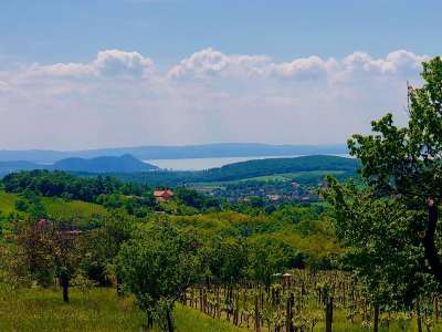 Eladó nyaraló - Balatonszőlős / 8. kép