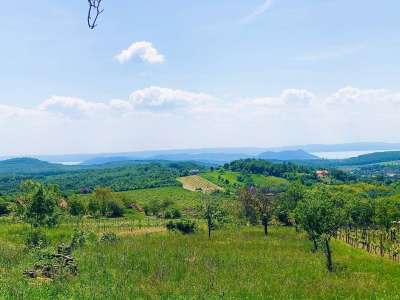 Eladó nyaraló - Balatonszőlős / 3. kép
