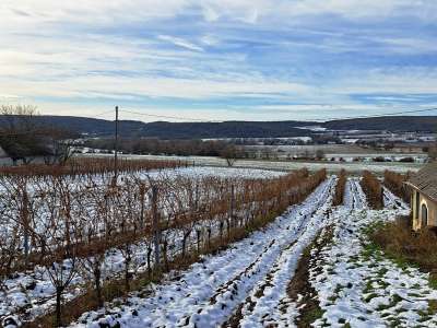 Eladó gazdasági épület - Balatoncsicsó / 9. kép