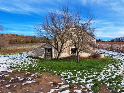 Eladó gazdasági épület - Balatoncsicsó / 13. kép