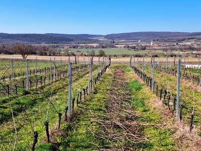 Eladó gazdasági épület - Balatoncsicsó / 17. kép