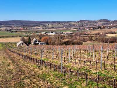 Eladó gazdasági épület - Balatoncsicsó / 3. kép