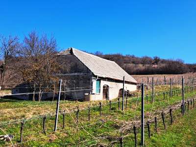 Eladó gazdasági épület - Balatoncsicsó / 6. kép
