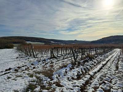 Eladó mezőgazdasági terület - Balatoncsicsó / 10. kép