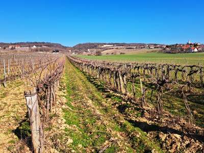 Eladó mezőgazdasági terület - Balatoncsicsó / 4. kép