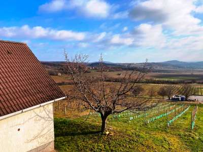 Eladó építési telek - Balatonszőlős (Nagygella) / 12. kép