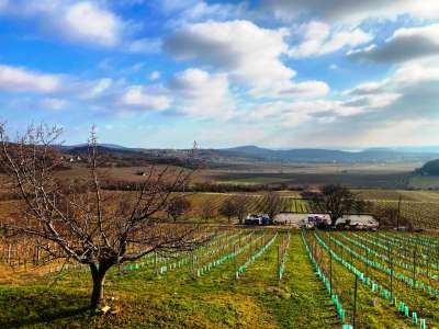 Eladó építési telek - Balatonszőlős (Nagygella) / 8. kép