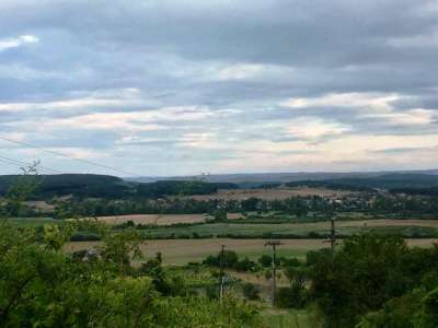 Eladó mezőgazdasági terület - Balatonszőlős / 2. kép