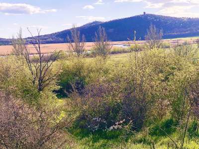 Eladó mezőgazdasági terület - Tihany / 4. kép