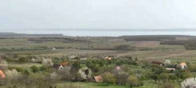 Eladó mezőgazdasági terület - Monoszló / 16. kép