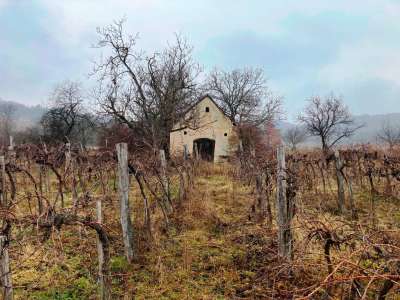 Eladó gazdasági épület - Balatonszőlős (Barátszőlő) / 2. kép