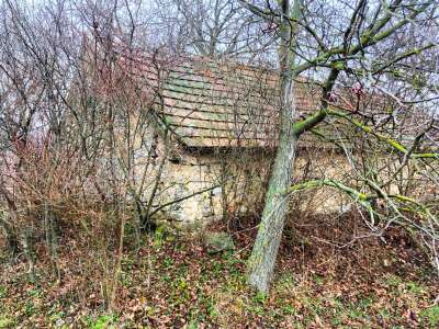 Eladó gazdasági épület - Balatonszőlős (Barátszőlő) / 6. kép