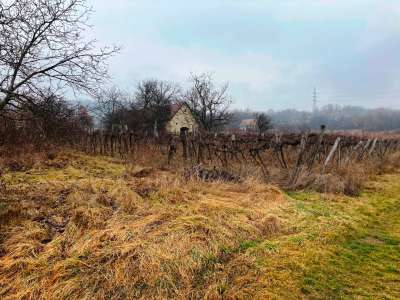 Eladó gazdasági épület - Balatonszőlős (Barátszőlő) / 8. kép