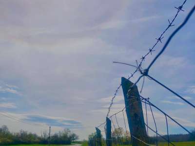 Eladó kert, gyümölcsös - Balatonhenye / 11. kép