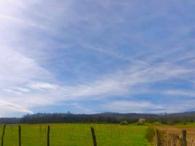 Eladó kert, gyümölcsös - Balatonhenye / 7. kép
