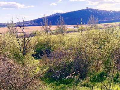 Eladó mezőgazdasági terület - Tihany / 3. kép
