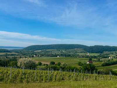 Eladó zártkert - Szentjakabfa / 2. kép