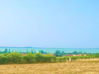Eladó mezőgazdasági terület - Balatonakali / 8. kép