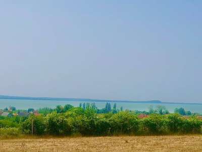 Eladó mezőgazdasági terület - Balatonakali / 5. kép