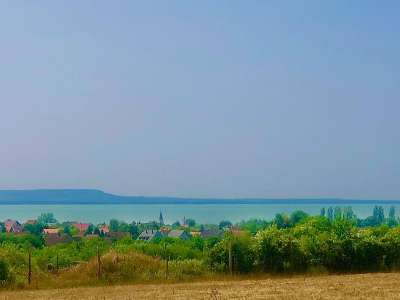 Eladó mezőgazdasági terület - Balatonakali / 4. kép