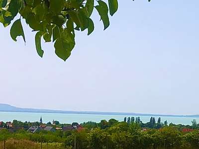 Eladó mezőgazdasági terület - Balatonakali / 6. kép
