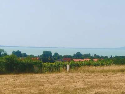 Eladó mezőgazdasági terület - Balatonakali / 2. kép